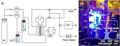 Photoelectrochemical Gas–Electrolyte–Solid Phase Boundary for Hydrogen Production From Water Vapor